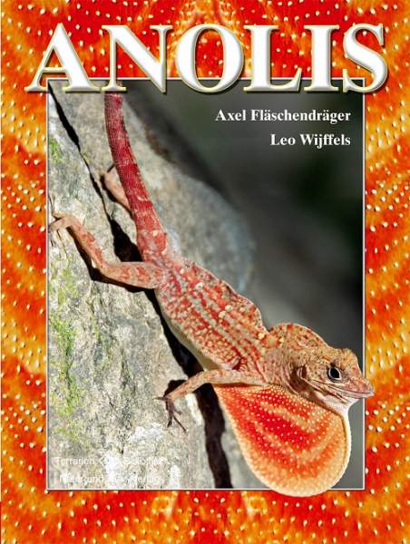 Anolis